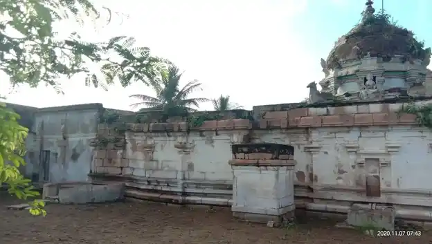 Arulmigu Naganathaswamy Temple, Palakurichi - 621308 Arulmigu Naganathaswamy Temple, Palakurichi - 621308, Thiruchirappalli - Ancient Temple Architecture and History Image 4