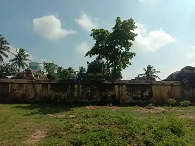 Arulmigu Naganathaswamy Temple, Parakkalakkottai - 614613 Arulmigu Naganathaswamy Temple, Parakkalakkottai - 614613, Thanjavur - Ancient Temple Architecture and History Image 7