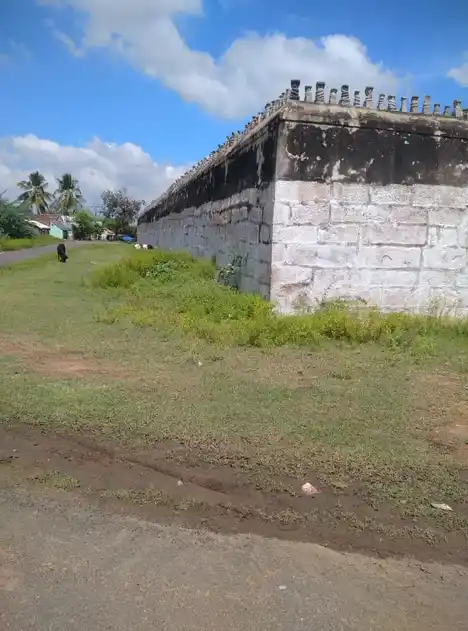 Arulmigu Naganathaswamy Temple, Peraiyur, Thirumayam Taluk - 622422