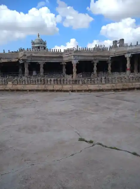 Arulmigu Naganathaswamy Temple, Peraiyur, Thirumayam Taluk - 622422 அருள்மிகு நாகநாதசுவாமி திருக்கோயில், பேரையூர், திருமயம் வட்டம் - 622422, Pudukkottai - Ancient Temple Architecture and History Image 3
