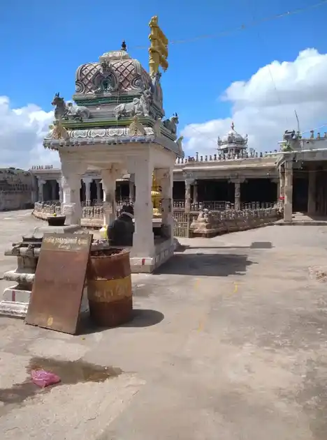 Arulmigu Naganathaswamy Temple, Peraiyur, Thirumayam Taluk - 622422 அருள்மிகு நாகநாதசுவாமி திருக்கோயில், பேரையூர், திருமயம் வட்டம் - 622422, Pudukkottai - Ancient Temple Architecture and History Image 4