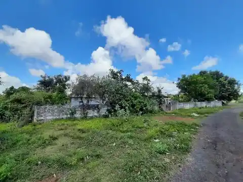 Arulmigu Naganathaswamy Temple, Sembathaniruppu, Sempadthaniruppu - 609109 அருள்மிகு நாகநாத சுவாமி திருக்கோயில், Sirkazhi - 609109, Mayiladuthurai - Ancient Temple Architecture and History Image 3