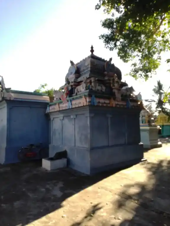 Arulmigu Naganathaswamy Temple, Siruvathur - 607106 அருள்மிகு நாகநாதசாமி திருக்கோயில், பண்ருட்டி வட்டம் - 607106, Cuddalore - Ancient Temple Architecture and History Image 4