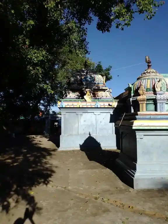 Arulmigu Naganathaswamy Temple, Siruvathur - 607106 அருள்மிகு நாகநாதசாமி திருக்கோயில், பண்ருட்டி வட்டம் - 607106, Cuddalore - Ancient Temple Architecture and History Image 6