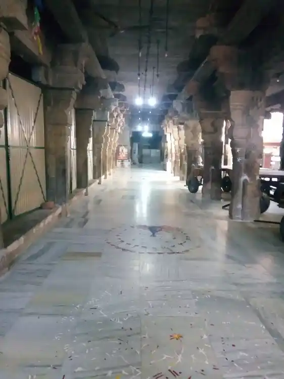 Arulmigu Naganathaswamy Temple, Thiruchirappalli - 620002 அருள்மிகு நாகநாதசாமி திருக்கோயில், Thiruchirappalli - 620002, Thiruchirappalli - Ancient Temple Architecture and History Image 2