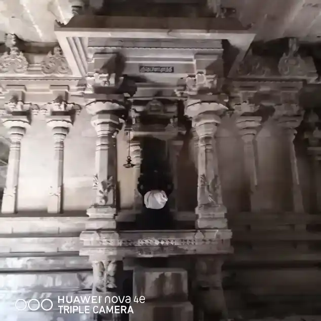 Arulmigu Naganathaswamy Temple, Thiruthagoor - 630108 அருள்மிகு நாகநாதசுவாமி திருக்கோயில், Thiruthagoor - 630108, Sivagangai - Ancient Temple Architecture and History Image 3