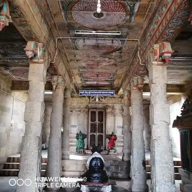 Arulmigu Naganathaswamy Temple, Thiruthagoor - 630108 அருள்மிகு நாகநாதசுவாமி திருக்கோயில், Thiruthagoor - 630108, Sivagangai - Ancient Temple Architecture and History Image 4