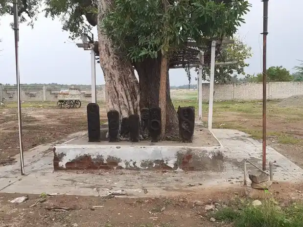 Arulmigu Nagar Temple, Sulur - 641402 அருள்மிகு நாகர் திருக்கோயில், Sulur - 641402, Coimbatore - Ancient Temple Architecture and History Image 3