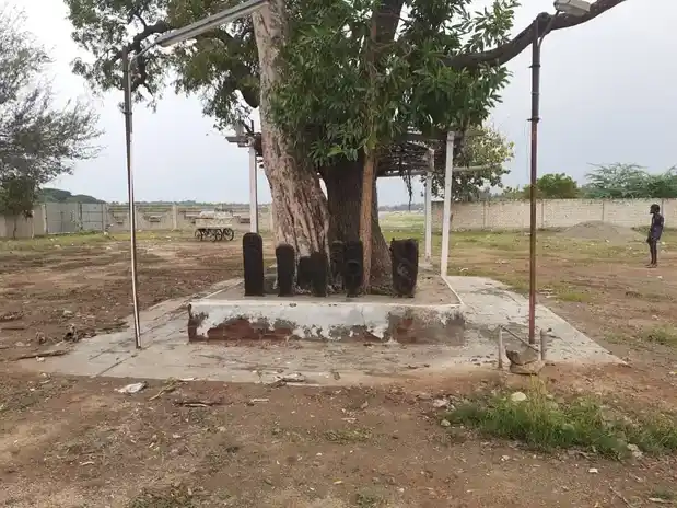 Arulmigu Nagar Temple, Sulur - 641402 அருள்மிகு நாகர் திருக்கோயில், Sulur - 641402, Coimbatore - Ancient Temple Architecture and History Image 4