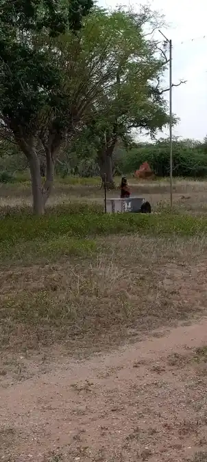 Arulmigu Nagar Temple, Vadakusirupathur - 621005 Temple