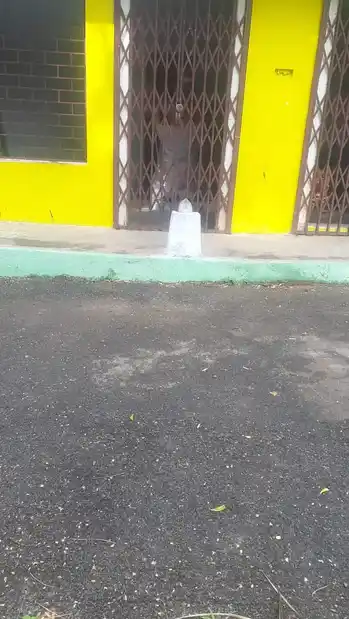 Arulmigu Nagaramman Temple, Thamaraikulam - 629707