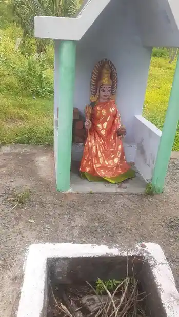 Arulmigu Nagaramman Temple, Thamaraikulam - 629707 அருள்மிகு நாகரம்மன் திருக்கோயில், Thamaraikulam - 629707, Kanyakumari - Ancient Temple Architecture and History Image 2