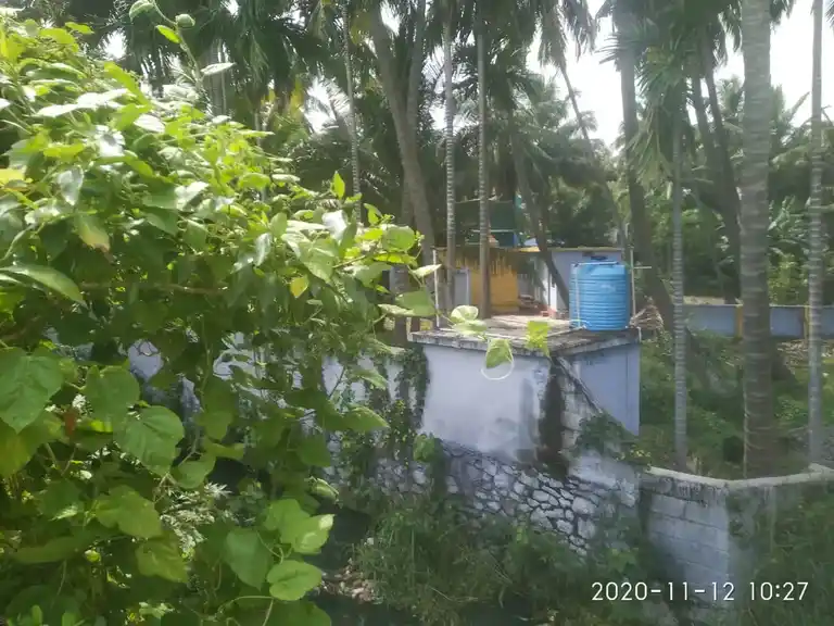 Arulmigu Nagaramman Temple, Thazhakudi - 629901 அருள்மிகு நாகரம்மன் திருக்கோயில், Thazhakudi - 629901, Kanyakumari - Ancient Temple Architecture and History Image 4