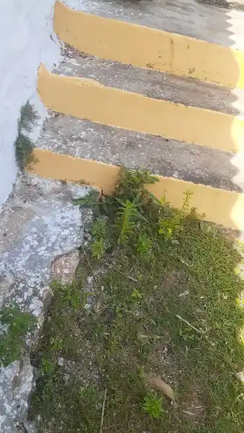 Arulmigu Nagarmman Temple, Kezhakurandi, Theroor - 629704 அருள்மிகு நாகரம்மன் திருக்கோயில், Kezhakurandi, Theroor - 629704, Kanyakumari - Ancient Temple Architecture and History Image 3