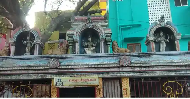 Arulmigu Nagathamman Temple, Mylapore, Chennai - 600004 அருள்மிகு நாகாத்தம்மன் திருக்கோயில், மயிலாப்பூர், சென்னை - 600004, Chennai - Ancient Temple Architecture and History Image 5
