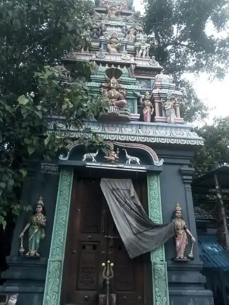 Arulmigu Nagathamman Temple, Nandhanam, Chennai - 600035