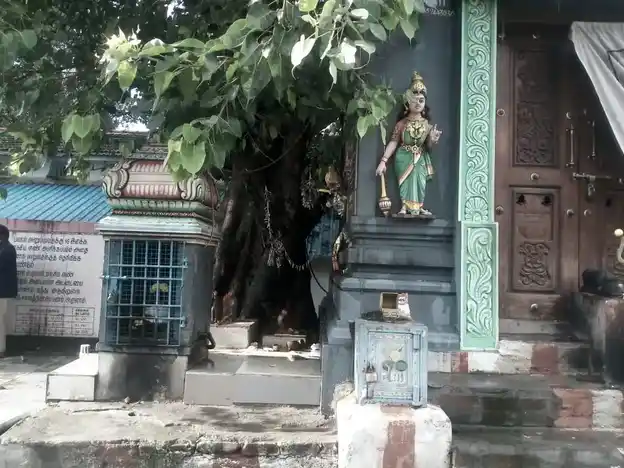 Arulmigu Nagathamman Temple, Nandhanam, Chennai - 600035 அருள்மிகு நாகாத்தம்மன் திருக்கோயில், நந்தனம், சென்னை - 600035, Chennai - Ancient Temple Architecture and History Image 2