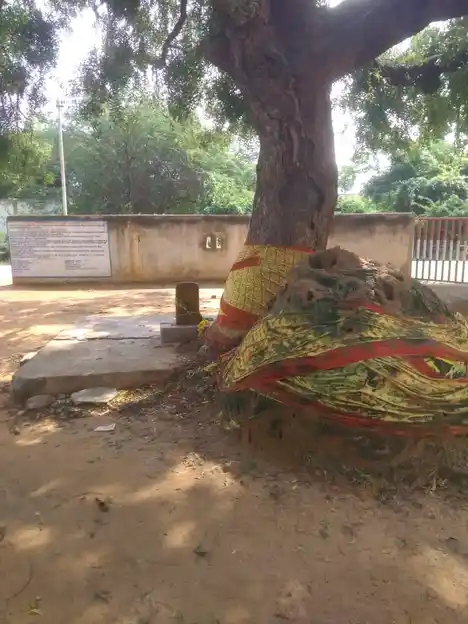 Arulmigu Nagathamman Temple, Near School, Nelvoy - 601102 அருள்மிகு நாகாத்தம்மன் திருக்கோயில், பள்ளி அருகில், நெல்வாய் - 601102, Tiruvallur - Ancient Temple Architecture and History Image 4