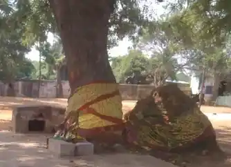 Arulmigu Nagathamman Temple, Near School, Nelvoy - 601102 அருள்மிகு நாகாத்தம்மன் திருக்கோயில், பள்ளி அருகில், நெல்வாய் - 601102, Tiruvallur - Ancient Temple Architecture and History Image 5