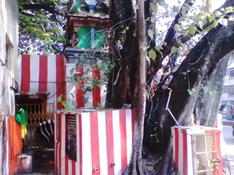 Arulmigu Nagavalli Amman Temple, Soolai, Chennai - 600112 அருள்மிகு நாகவள்ளியம்மன் திருக்கோயில், சூளை, சென்னை - 600112, Chennai - Ancient Temple Architecture and History Image 4