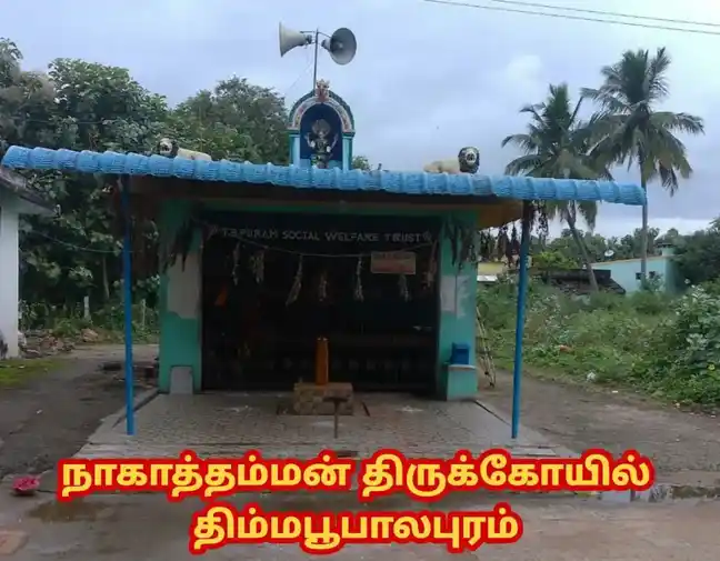 Arulmigu Nagavariamman Gramadevathai Temple, Thimmaboopalapuram - 602001