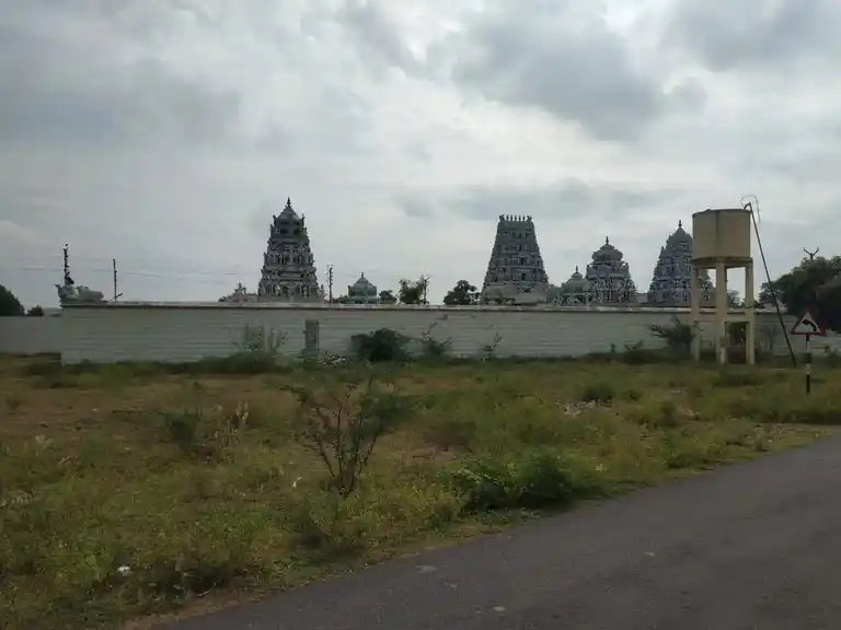 Arulmigu Nageshwaraswamy Temlple, Thalaiyanallur - 638109 அருள்மிகு நாகேஸ்வரர் சுவாமி திருக்கோயில், Thalaiyanallur - 638109, Erode - Ancient Temple Architecture and History Image 9