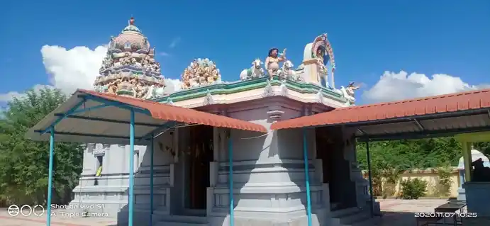 Arulmigu Nageshwaraswamy Temple, Sarkar Nattamakgalam - 637403 அருள்மிகு நாகேஸ்வரர் சுவாமி திருக்கோயில், Sarkar Nattamakgalam - 637403, Namakkal - Ancient Temple Architecture and History Image 7