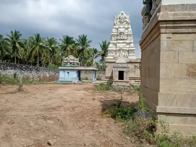 Arulmigu Nageswararswamy Temple, Eragampatti - 638702 அருள்மிகு நாகேஸ்வரசாமி திருக்கோயில், Eragampatti - 638702, Tiruppur - Ancient Temple Architecture and History Image 7
