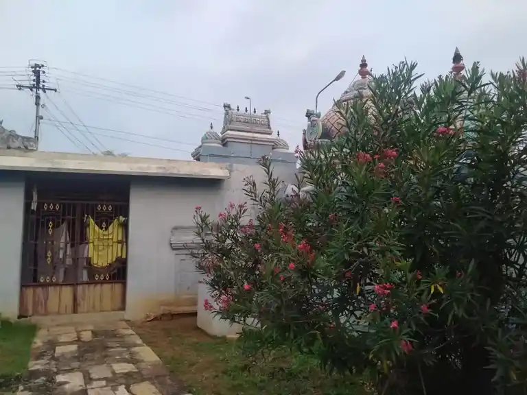 Arulmigu Nageswararswamy Temple, Nagamangalam - 621704 அருள்மிகு நாகேசுவரர் சுவாமி திருக்கோயில், Nagamangalam - 621704, Ariyalur - Ancient Temple Architecture and History Image 3