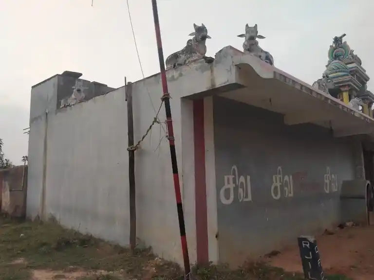 Arulmigu Nageswararswamy Temple, Nagamangalam - 621704 அருள்மிகு நாகேசுவரர் சுவாமி திருக்கோயில், Nagamangalam - 621704, Ariyalur - Ancient Temple Architecture and History Image 4