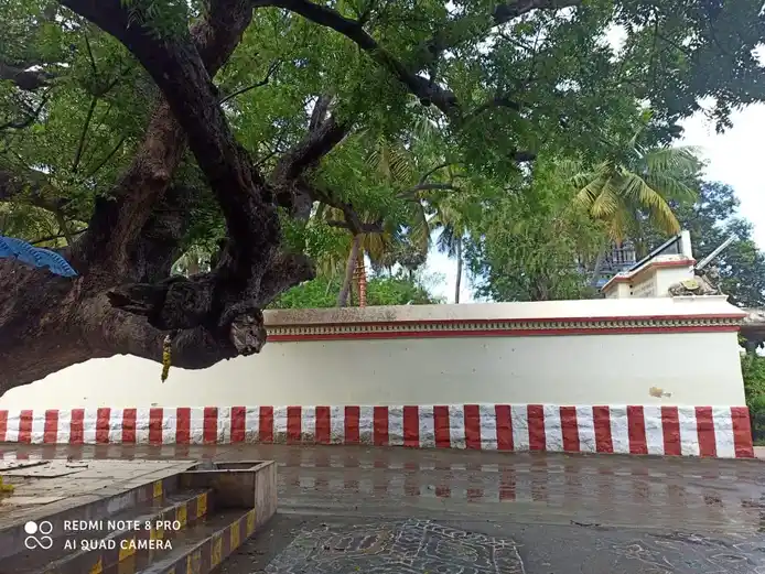 Arulmigu Nageswaraswamy Temple, Periyanagapoondi - 631302 அருள்மிகு நாகேஸ்வரசுவாமி திருக்கோயில், பெரியநாகப்பூண்டி - 631302, Tiruvallur - Ancient Temple Architecture and History Image 3