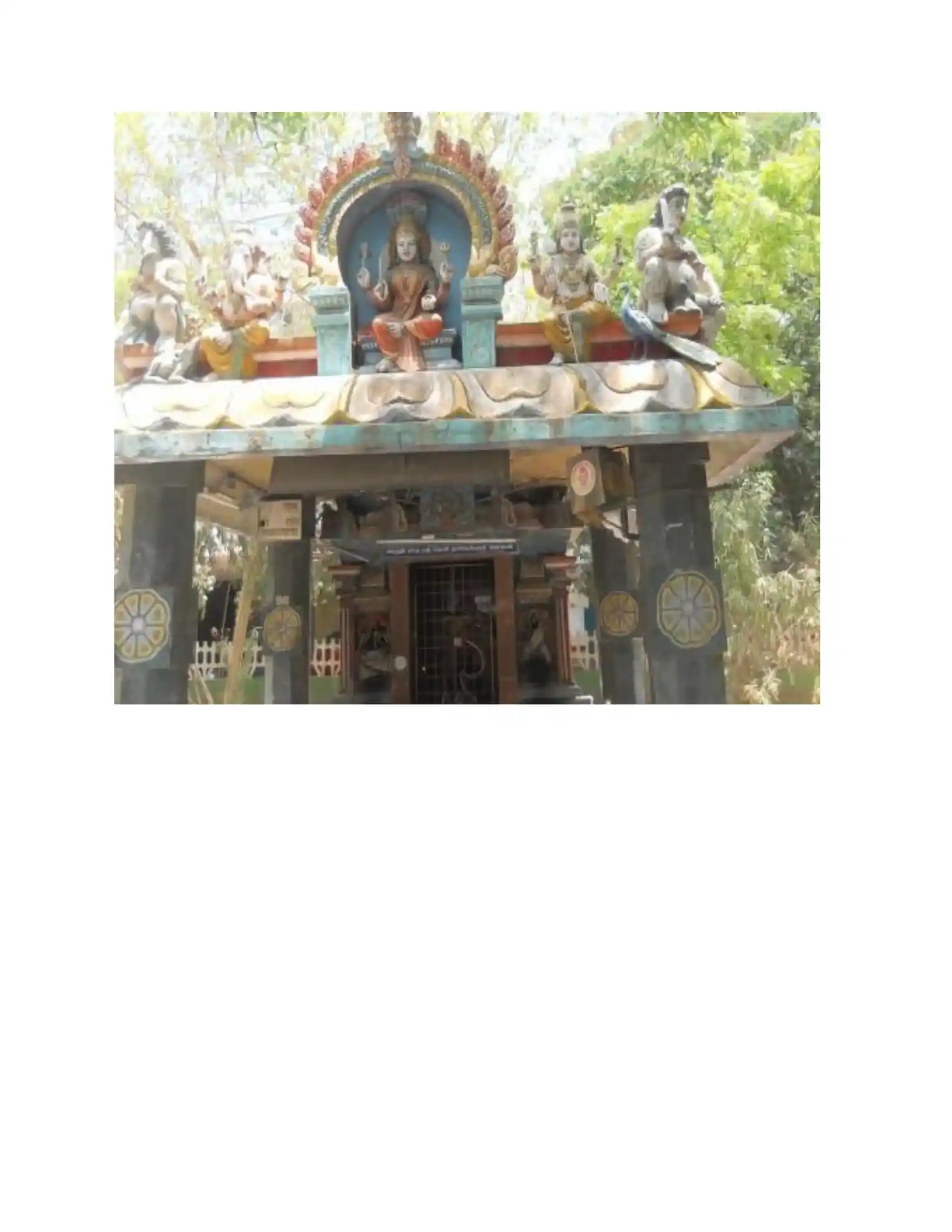 Arulmigu Nageswari Amman Temple, Triplicane, Chennai - 600005