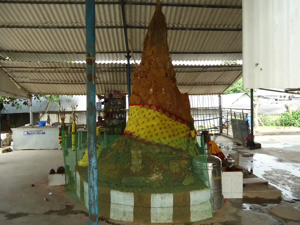 Arulmigu Nageswariamman Temple, Near Bhavani Amman Temple, Periyapalayam - 601102 Arulmigu Nageswariamman Temple, Near Bhavani Amman Temple, Periyapalayam - 601102, Tiruvallur - Ancient Temple Architecture and History Image 4