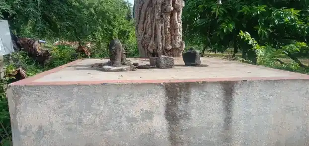 Arulmigu Nagulamman,Mariamman,Pambulooti Vinayagar And Vayirampalayam Vinayagar Temple, Pambaluppatti - 624620 அருள்மிகு நாகுலம்மன் கோயில், Pambaluppatti - 624620, Dindigul - Ancient Temple Architecture and History Image 3