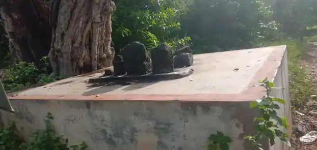 Arulmigu Nagulamman,Mariamman,Pambulooti Vinayagar And Vayirampalayam Vinayagar Temple, Pambaluppatti - 624620 அருள்மிகு நாகுலம்மன் கோயில், Pambaluppatti - 624620, Dindigul - Ancient Temple Architecture and History Image 4