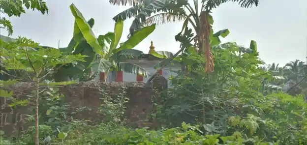 Arulmigu Nainar Chittirai Vinayagar Temple, Near Vao Office, Therisanamkoppu - 629851