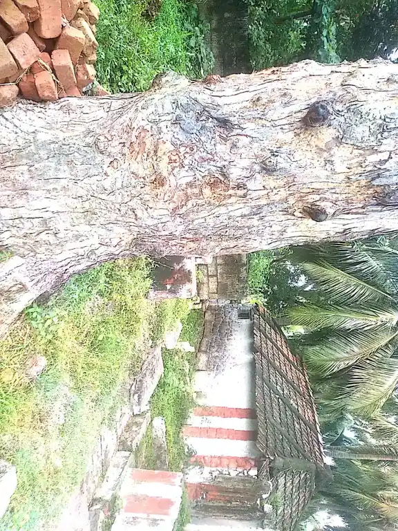 Arulmigu Nainar Mookampari Vinayagar Temple, Thazhakudi - 629901