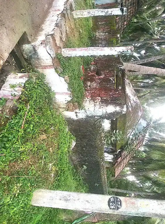 Arulmigu Nainar Mookampari Vinayagar Temple, Thazhakudi - 629901 அருள்மிகு நயினார் மூகாம்பரிவிநாயகர் திருக்கோயில், Thazhakudi - 629901, Kanyakumari - Ancient Temple Architecture and History Image 2