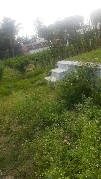 Arulmigu Nainar Uthayakandan Sastha Temple, Theroor - 629704 அருள்மிகு நயினார் உதயகண்டன் சாஸ்தா திருக்கோயில், Theroor - 629704, Kanyakumari - Ancient Temple Architecture and History Image 3