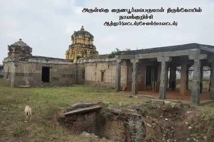 Arulmigu Naiynapurvaperumal Temple, Navakurichi - 636112 அருள்மிகு நைணாப் பூர்வ பெருமாள் திருக்கோயில், Navakurichi - 636112, Salem - Ancient Temple Architecture and History Image 3