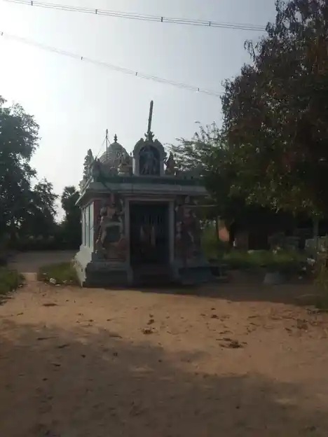 Arulmigu Nalankulakkarai Pidaari Temple, Kunnathur - 621316 அருள்மிகு நலங்குளக்கரை பிடாரி திருக்கோயில், குன்னத்தூர் - 621316, Pudukkottai - Ancient Temple Architecture and History Image 4