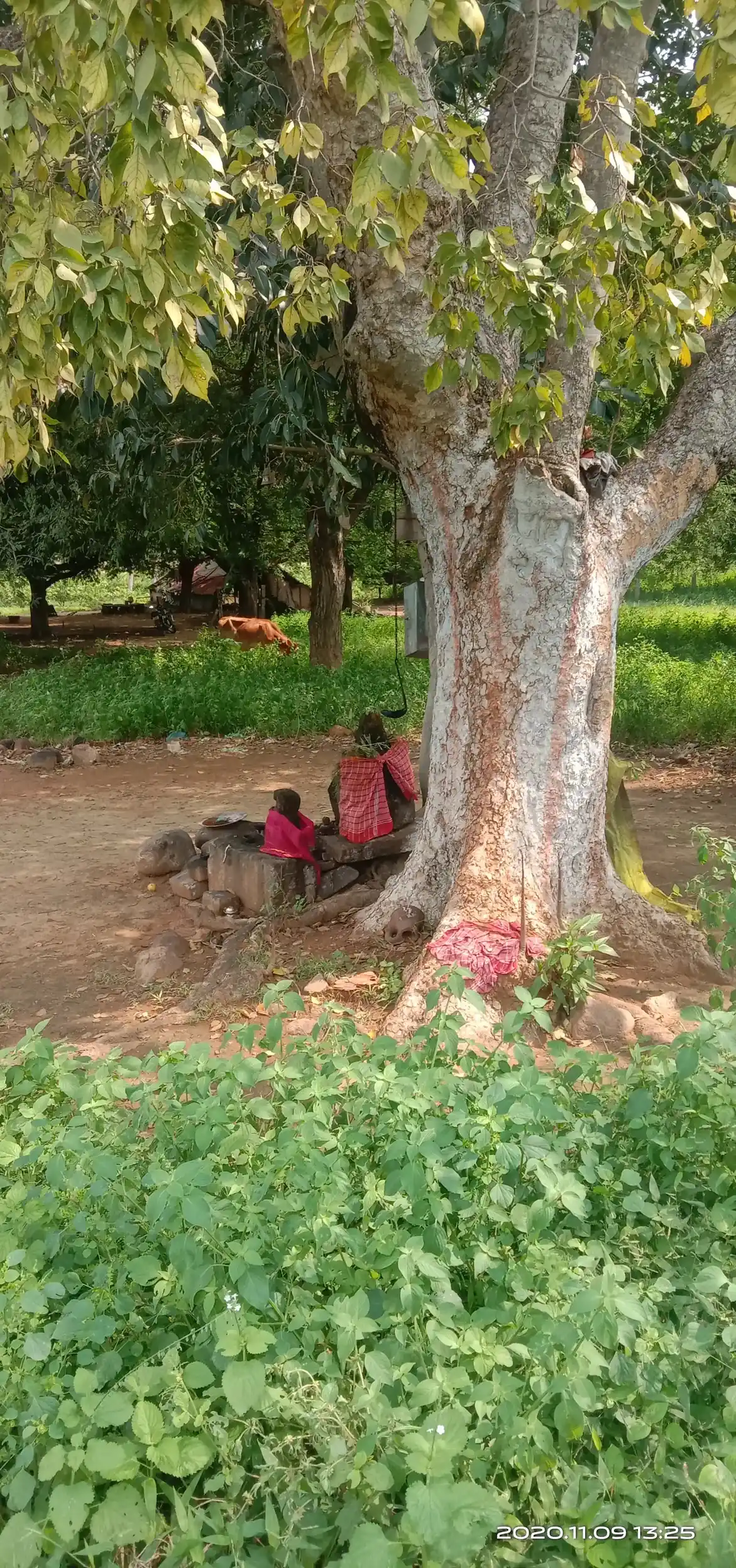 Arulmigu Nalla Kannda Vinayagar Temple, Sirugudi - 624402 அருள்மிகு நல்லகண்ட விநாயகர் கோயில், Sirugudi - 624402, Dindigul - Ancient Temple Architecture and History Image 3
