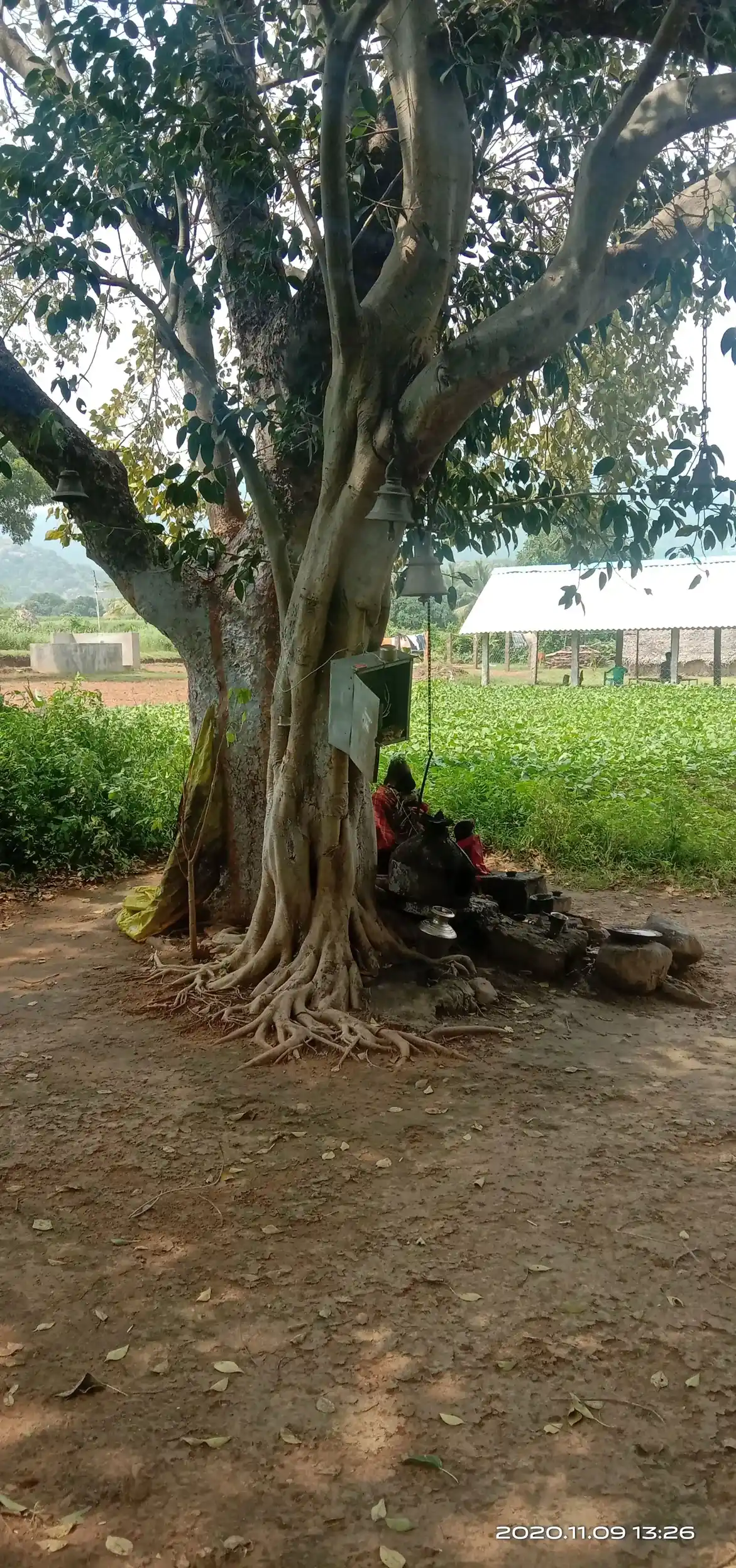 Arulmigu Nalla Kannda Vinayagar Temple, Sirugudi - 624402 அருள்மிகு நல்லகண்ட விநாயகர் கோயில், Sirugudi - 624402, Dindigul - Ancient Temple Architecture and History Image 4