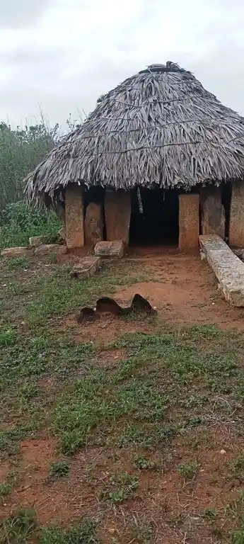 Arulmigu Nalla Pulli Amman Temple, Anangur - 637304