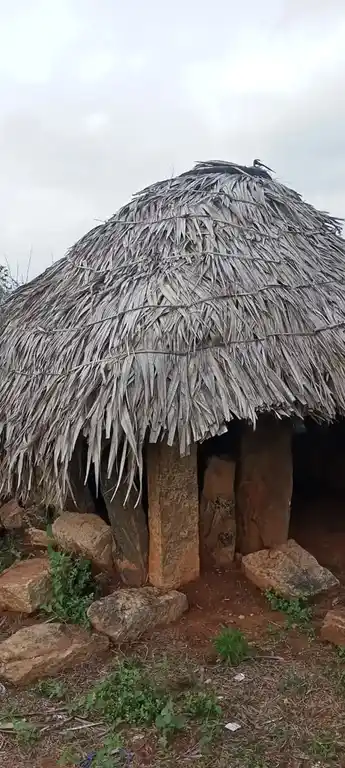 Arulmigu Nalla Pulli Amman Temple, Anangur - 637304 அருள்மிகு நல்லபுள்ளி அம்மன் திருக்கோயில், சின்ன ஆனங்கூர் - 637304, Namakkal - Ancient Temple Architecture and History Image 2