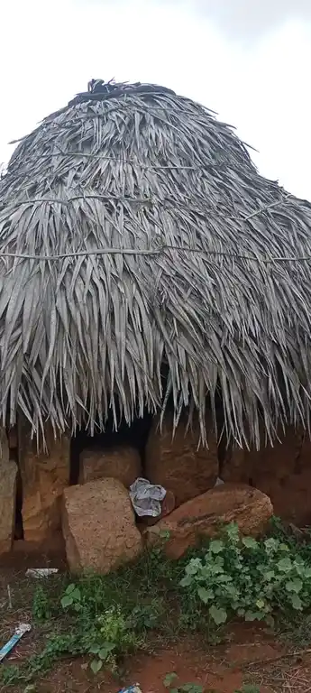 Arulmigu Nalla Pulli Amman Temple, Anangur - 637304 அருள்மிகு நல்லபுள்ளி அம்மன் திருக்கோயில், சின்ன ஆனங்கூர் - 637304, Namakkal - Ancient Temple Architecture and History Image 3