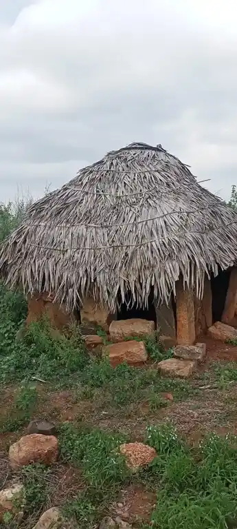 Arulmigu Nalla Pulli Amman Temple, Anangur - 637304 அருள்மிகு நல்லபுள்ளி அம்மன் திருக்கோயில், சின்ன ஆனங்கூர் - 637304, Namakkal - Ancient Temple Architecture and History Image 4