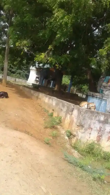 Arulmigu Nalla Vembu Ayyanar Temple, Rudrasolai - 608303 அருள்மிகு நல்லவேம்புஐயனார் திருக்கோயில், Rudrasolai - 608303, Cuddalore - Ancient Temple Architecture and History Image 3