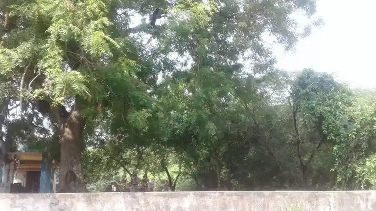 Arulmigu Nalla Vembu Ayyanar Temple, Rudrasolai - 608303 அருள்மிகு நல்லவேம்புஐயனார் திருக்கோயில், Rudrasolai - 608303, Cuddalore - Ancient Temple Architecture and History Image 4