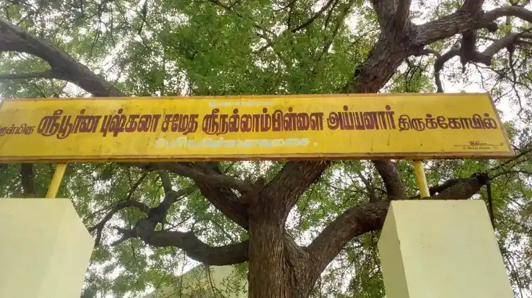 Arulmigu Nallampillai Ayyanar Temple, Shenkottai - 627809 Arulmigu Nallampillai Ayyanar Temple, Shenkottai - 627809, Tenkasi - Ancient Temple Architecture and History Image 2